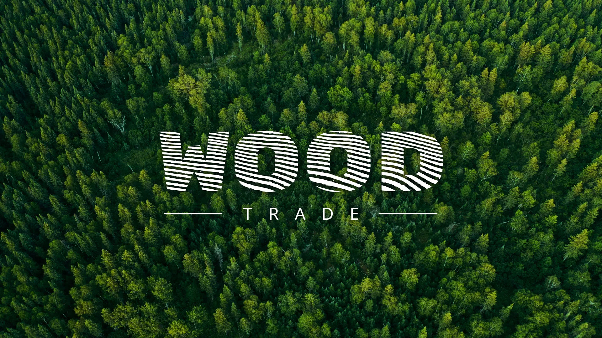 Разработка интернет-магазина компании «Wood Trade» в Кулебаках